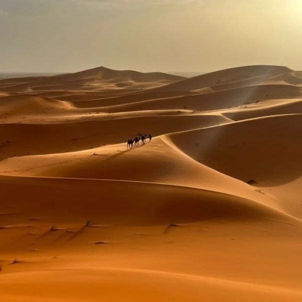 7 giorni di tour nel deserto da Marrakech a Fes
