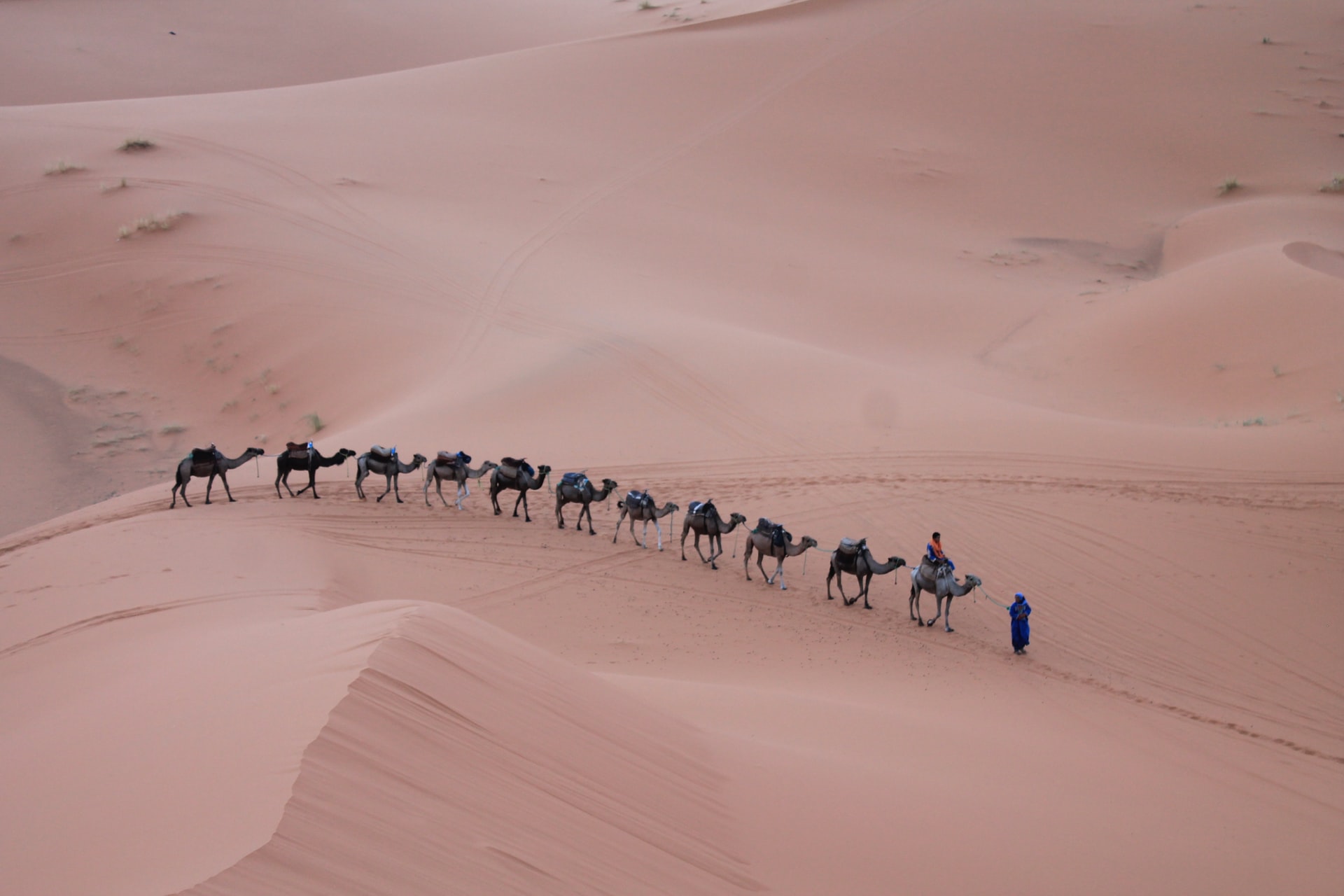 Camel trekking with the best 5 days tour in Morocco from Fes to Marrakech