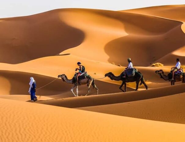 ouarzazate excursions desert