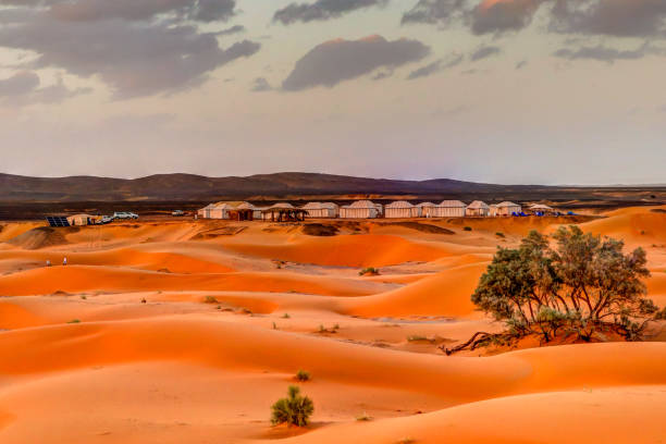 5 days desert tour from Marrakech to Fes via Merzouga