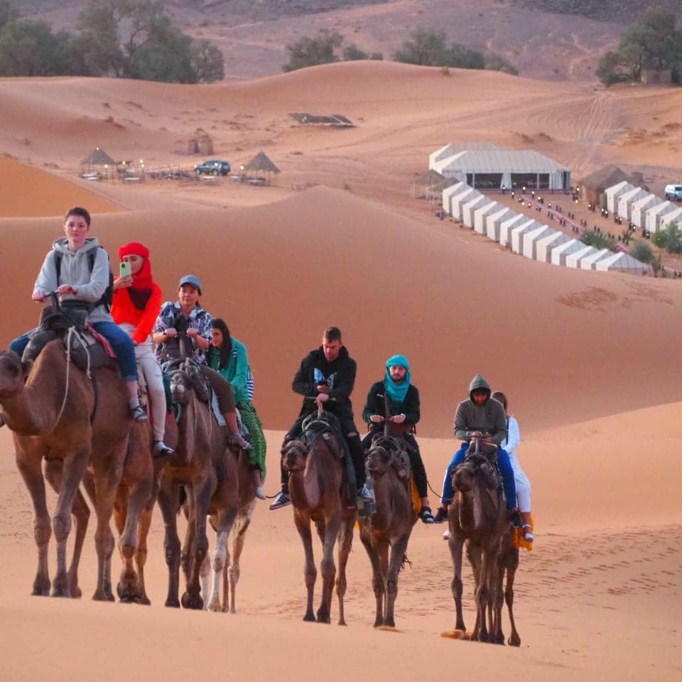 Camel trekking in morocco