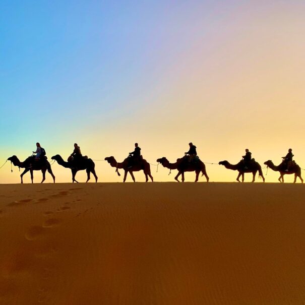 overnight camel trekking merzouga