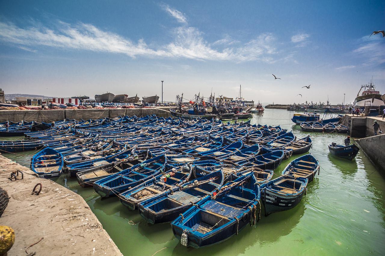 best things to do in essaouira morocco