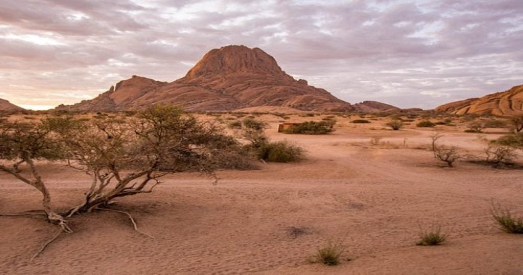 6 Days Safari tour in Namibia Dunes and Wildlife from Windhoek