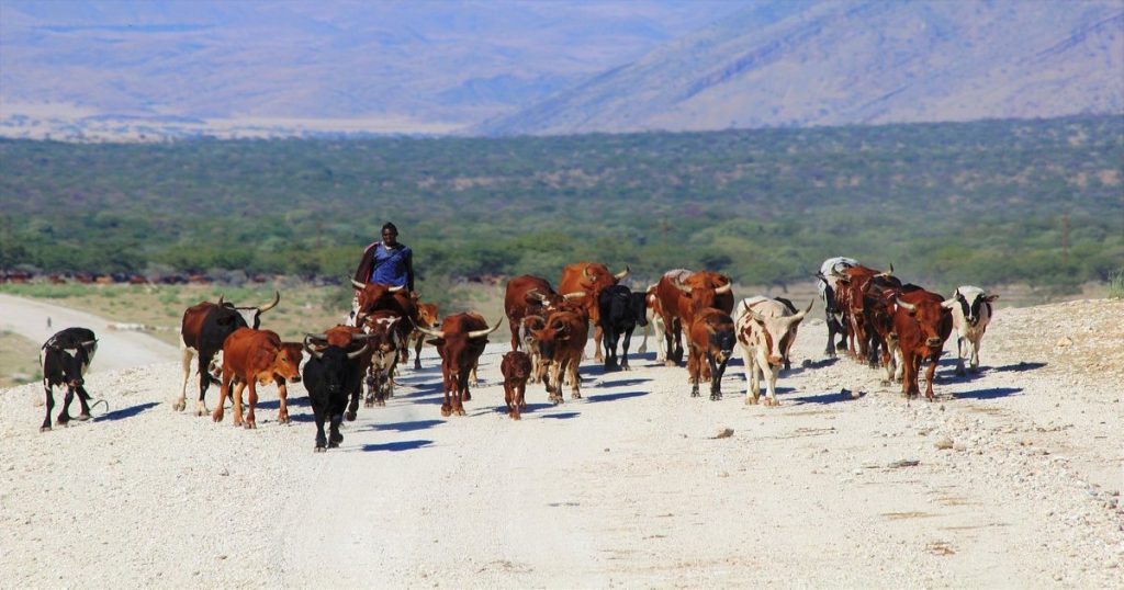 People of Namibia