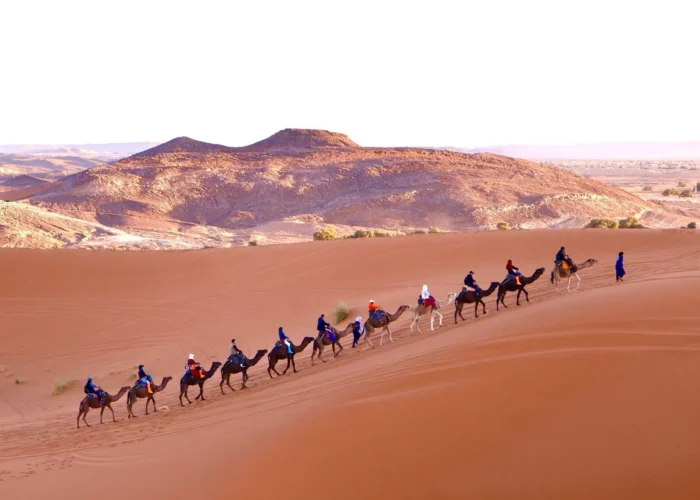 Paseo en camello por las dunas de Erg Chebbi durante un tour de 4 días al desierto de Marrakech a Merzouga