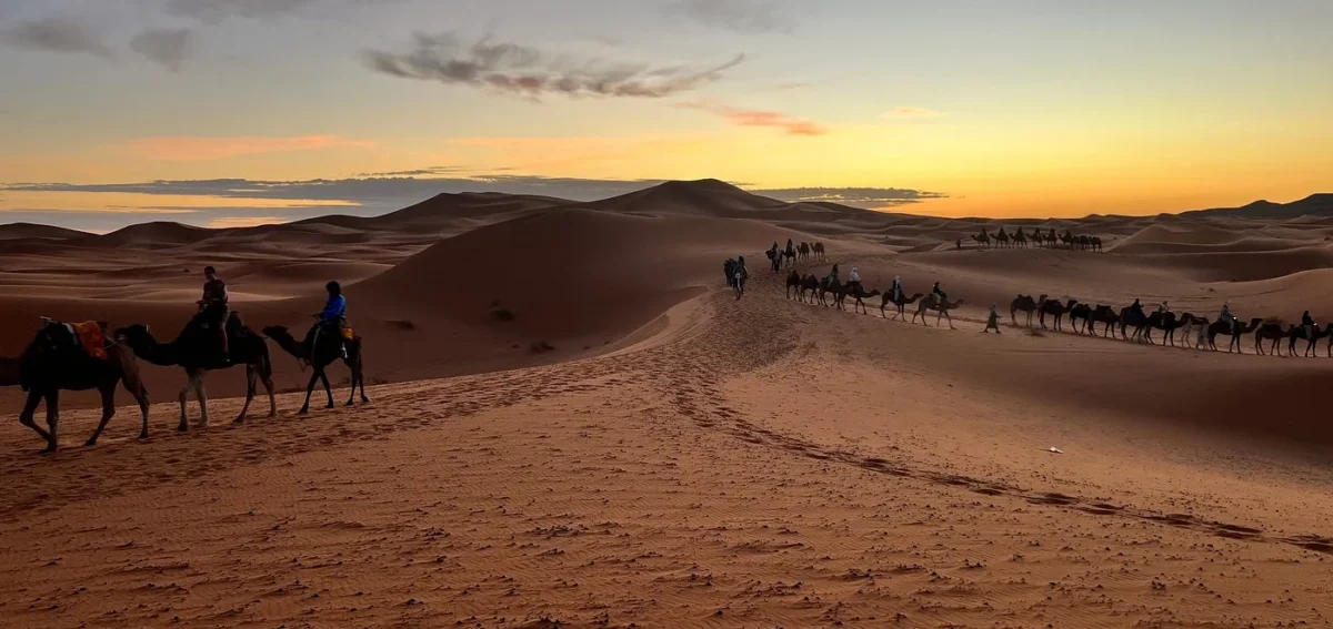 Sunset camel trek in Merzouga on a 3 days Marrakech to Fes desert tour
