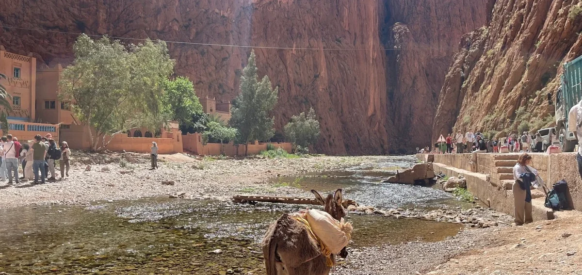 View of Todra Gorge canyon during the 4 days Marrakech to Fes desert tour