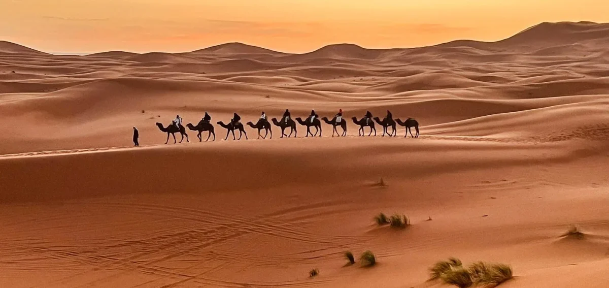 Camel trek across Erg Chebbi dunes during the 6 days desert tour from Marrakech to Fes via Merzouga