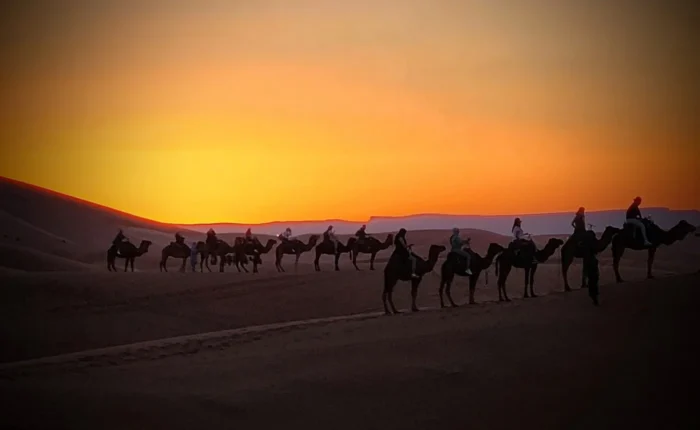 Camel trekking in Erg Chebbi dunes at sunset during the 5 days desert tour from Marrakech to Fes via Merzouga