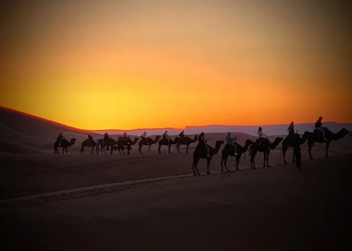 Paseo en camello en las dunas de Erg Chebbi al atardecer durante el tour de 5 días por el desierto de Marrakech a Fez vía Merzouga