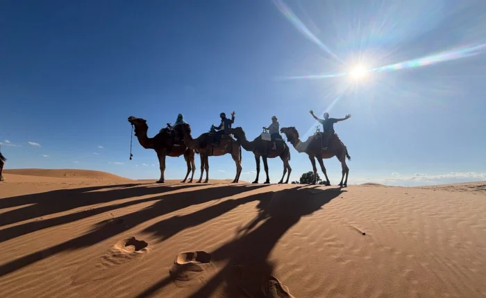 Camel ride in the Erg Chebbi dunes during the 8 days Morocco desert tour from Marrakech