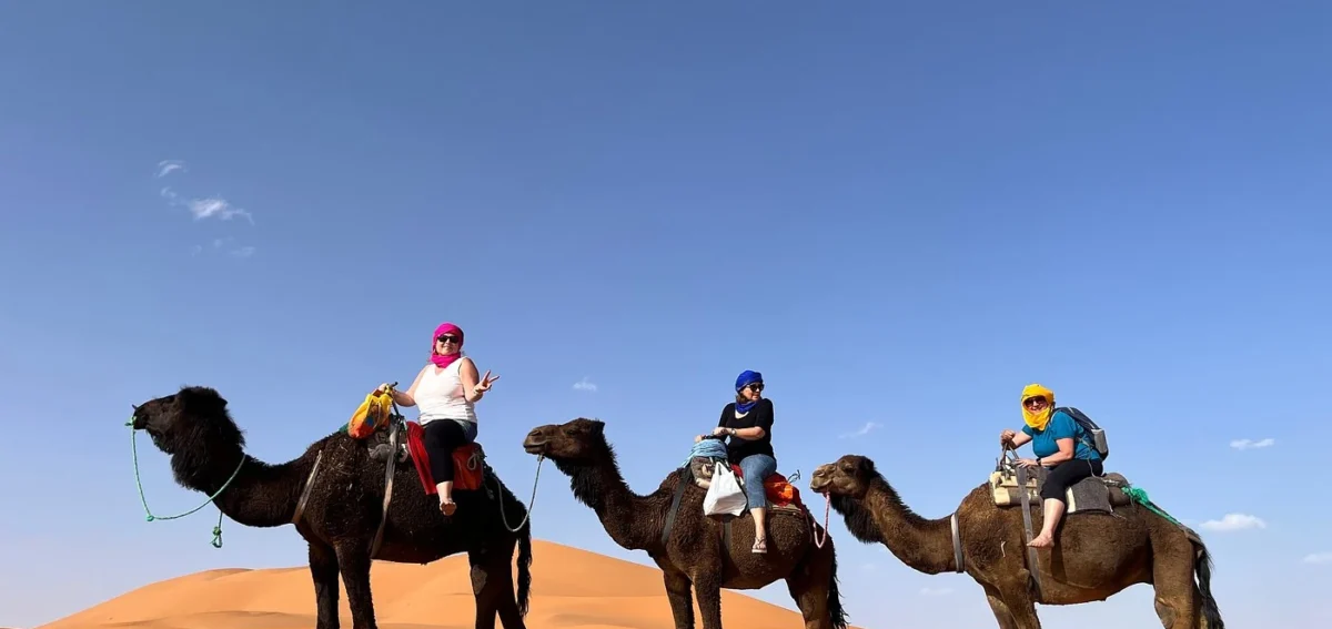 Camel trekking in the Erg Chebbi dunes during a 10 days Morocco tour from Casablanca