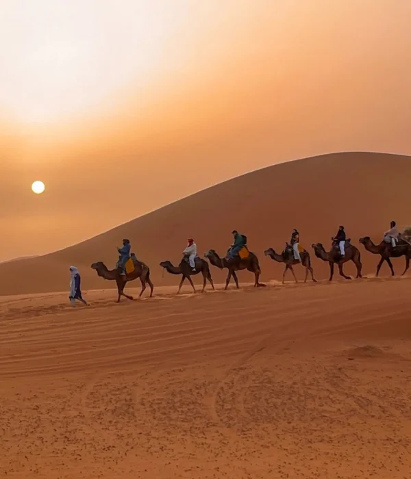 Carovana di cammelli che attraversa le dune dell'Erg Chebbi al tramonto durante un tour di 12 giorni in Marocco da Casablanca