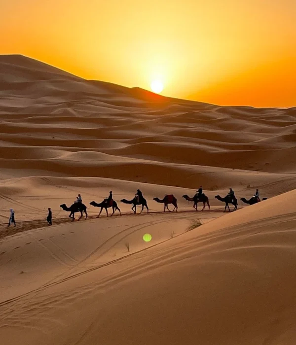 Trekking a dorso di cammello al tramonto tra le dune dell'Erg Chebbi durante un tour del Marocco da Casablanca a Marrakech
