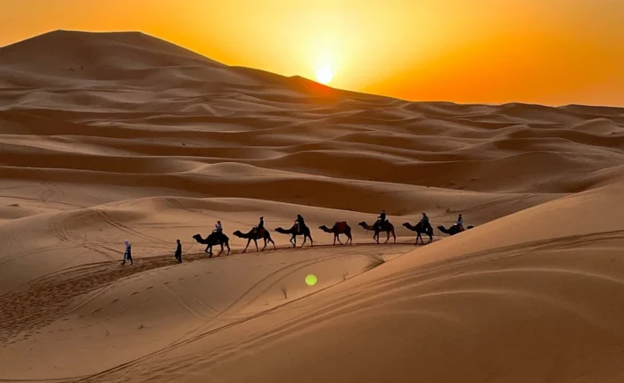 Paseo en camello al atardecer en las dunas de Erg Chebbi durante un tour por Marruecos de Casablanca a Marrakech