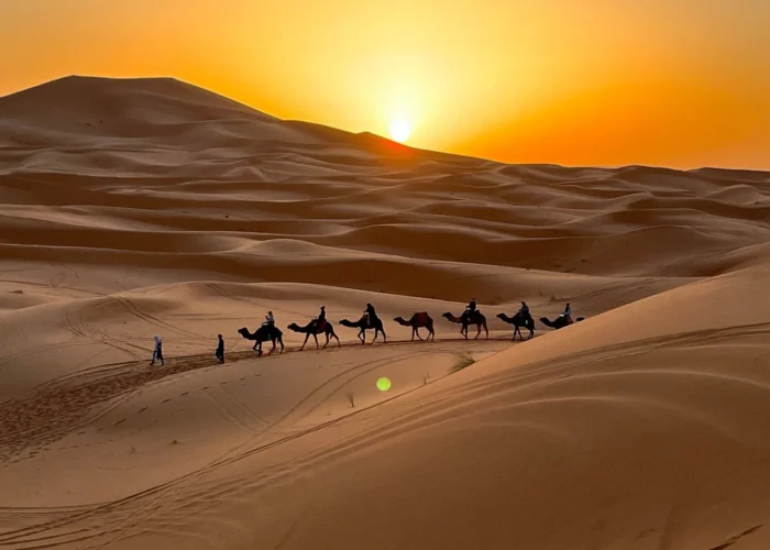 Camel trekking at sunset in the Erg Chebbi dunes during a Morocco tour from Casablanca to Marrakech