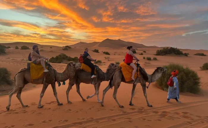 Travelers riding camels across the Merzouga desert during a colorful sunset