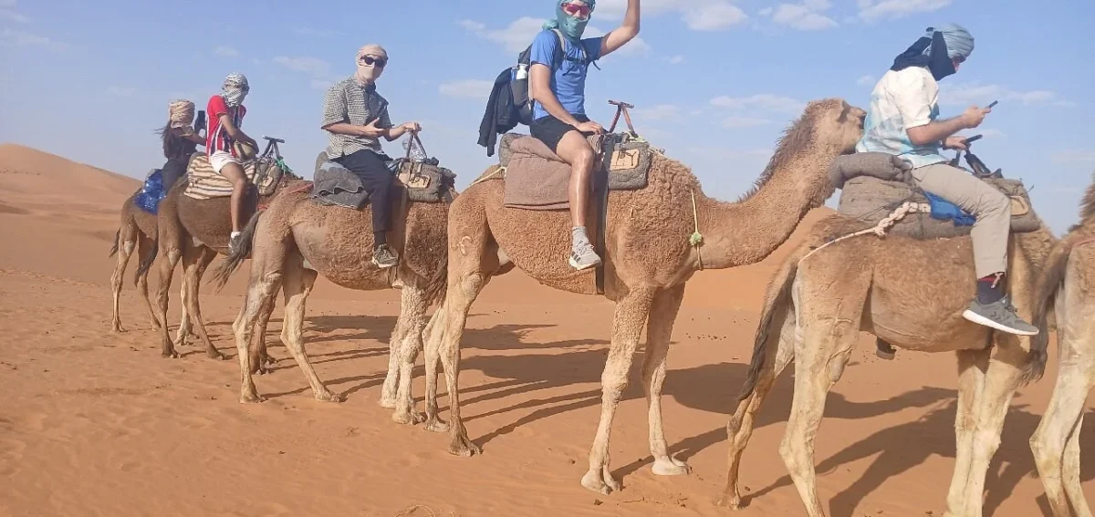 Camel trek in the Merzouga desert during a 2-day tour from Fes to Marrakech