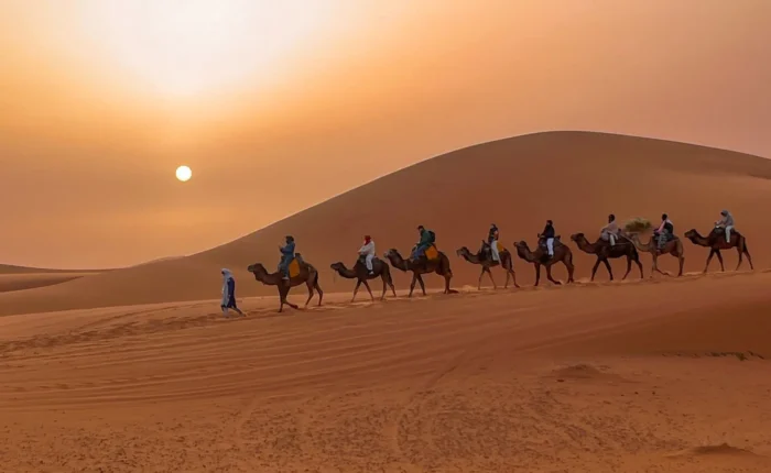 Sunset camel trek in the Merzouga desert during a 2-day tour from Fes to Marrakech