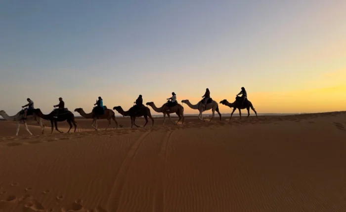 Trekking in cammello al tramonto attraverso le dune dell'Erg Chebbi durante un tour del deserto di 3 giorni da Fes