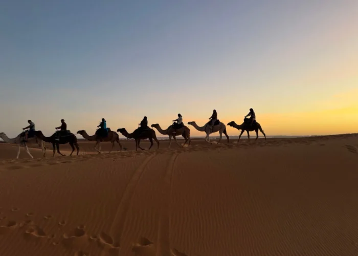 Trekking in cammello al tramonto attraverso le dune dell'Erg Chebbi durante un tour del deserto di 3 giorni da Fes