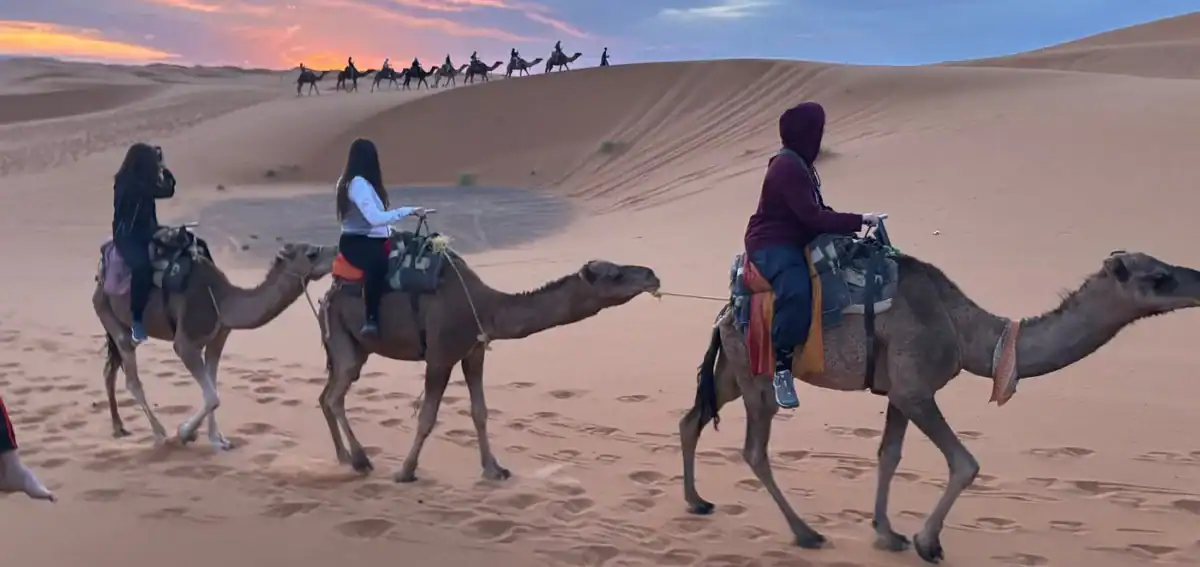 Sunset camel caravan in Merzouga dunes (Erg Chebbi) on a 4 days tour from Fes to Marrakech
