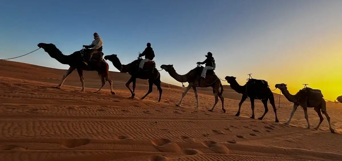 Camel caravan at sunset in Erg Chebbi, Merzouga during a private 4-day tour from Fes to Marrakech