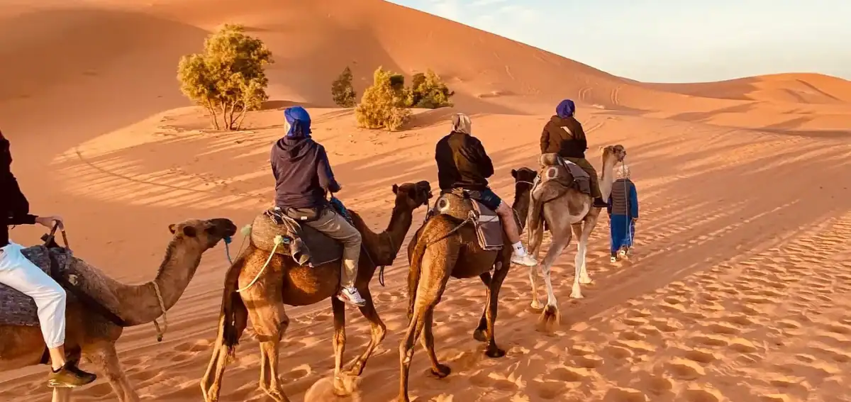 Camel trek in Erg Chebbi dunes, Merzouga on a 4 days desert tour from Fes to Marrakech