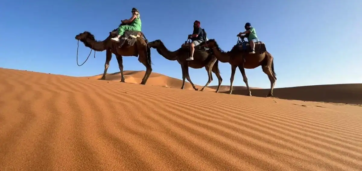 Camel trekking in Erg Chebbi dunes near Merzouga on a 5 days tour from Fes to Marrakech