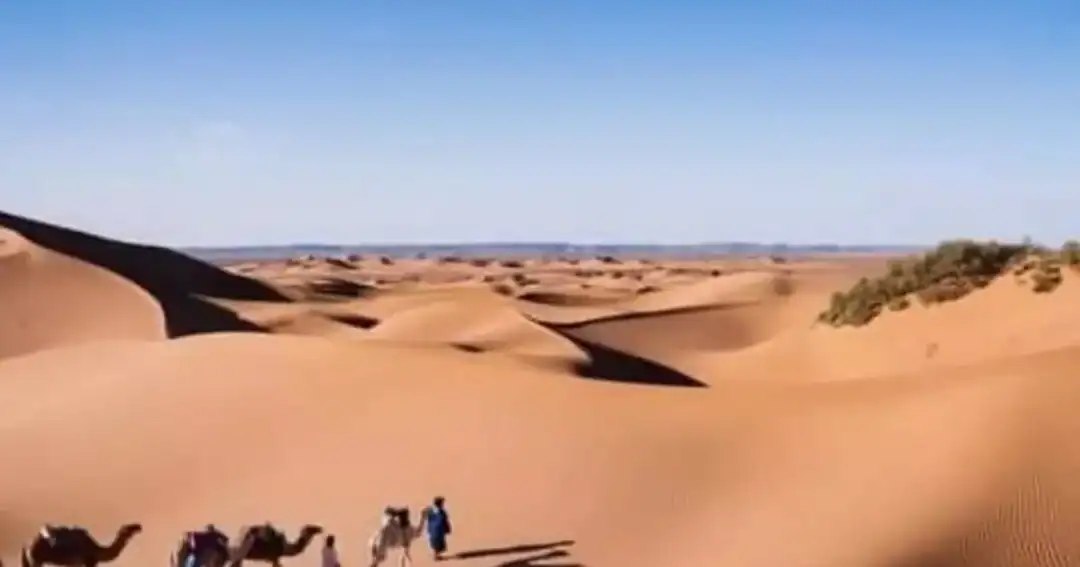 Sunset camel trek in the Erg Chebbi dunes on the 7-day Agadir to Merzouga desert tour