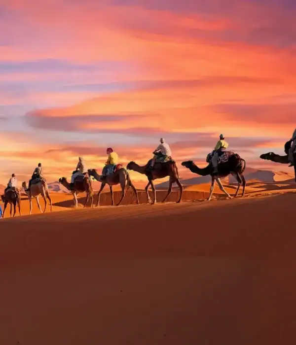 Paseo en camello por las dunas de Erg Chebbi, cerca de Merzouga, durante un tour de 5 días por el desierto de Agadir