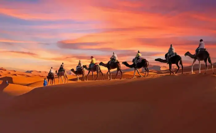 Paseo en camello por las dunas de Erg Chebbi, cerca de Merzouga, durante un tour de 5 días por el desierto de Agadir