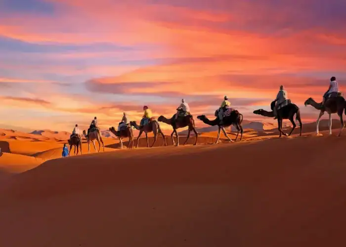 Paseo en camello por las dunas de Erg Chebbi, cerca de Merzouga, durante un tour de 5 días por el desierto de Agadir