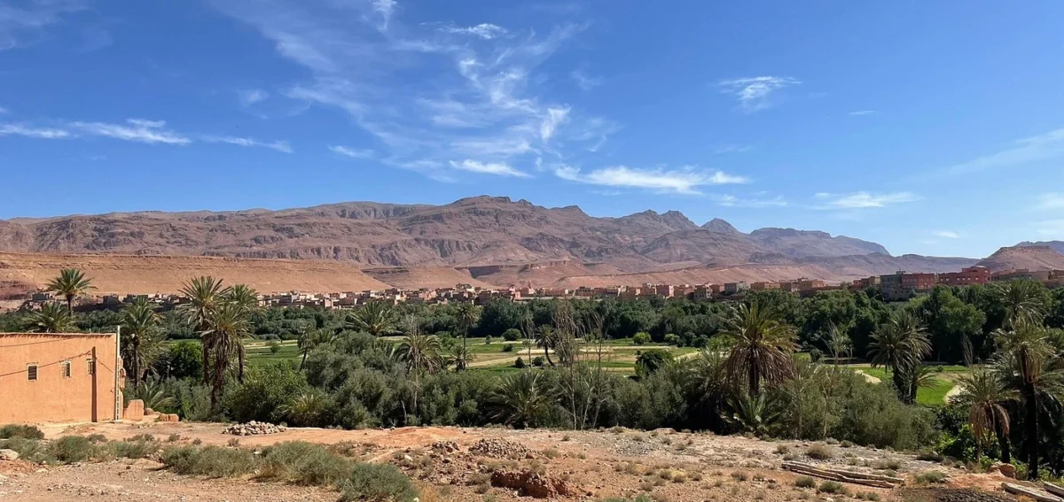 Palm-filled Dades Valley landscape during the 4-day Agadir to Merzouga desert tour ending in Marrakech
