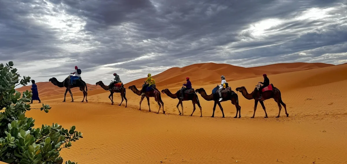 Camel trek in Merzouga during the 4 days tour from Tangier to Marrakech via Sahara Desert