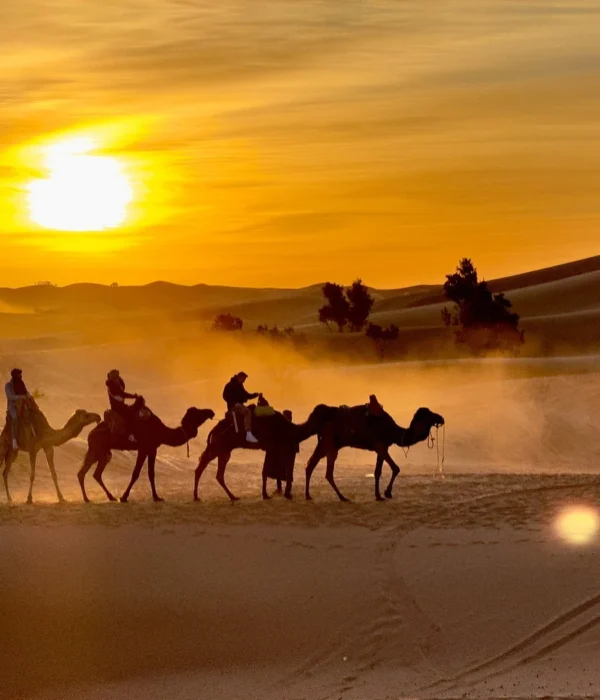 Caravana de camellos en las dunas de Erg Chebbi durante un tour por el desierto de 3 días de Agadir a Merzouga