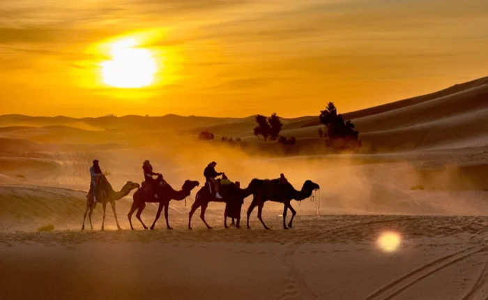 Camel caravan in the Erg Chebbi dunes during a 3-day Agadir to Merzouga desert tour