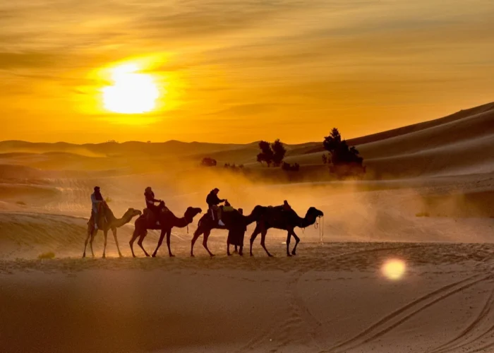 Caravana de camellos en las dunas de Erg Chebbi durante un tour por el desierto de 3 días de Agadir a Merzouga