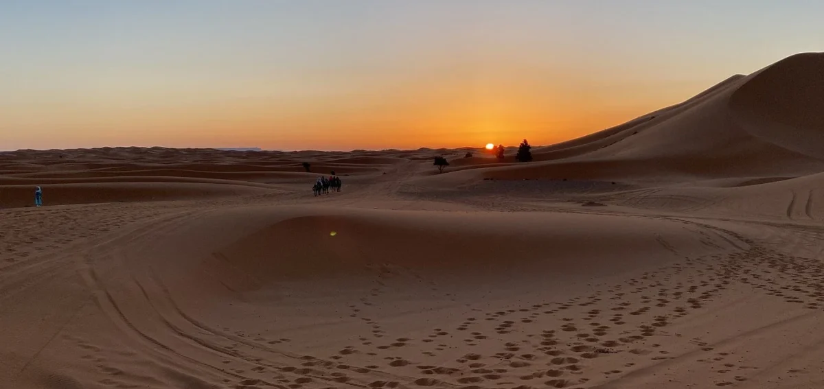 Camel trek at sunset across the Erg Chebbi dunes near Merzouga, Morocco.