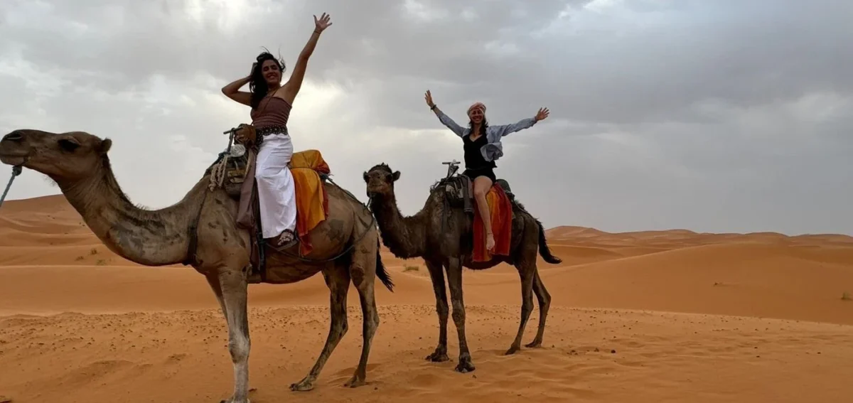 Travelers riding camels across the Erg Chebbi dunes in Merzouga
