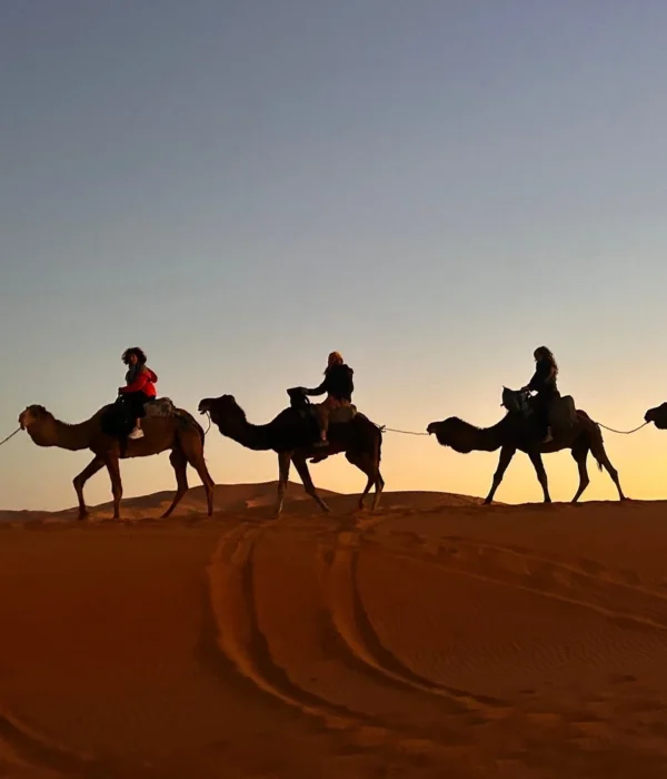 Paseo en camello al atardecer en las dunas de Erg Chebbi durante el tour de 4 días al desierto de Tánger a Marrakech