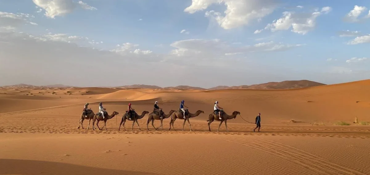 Camel trek across the Erg Chebbi dunes during a 3-day desert tour from Errachidia to Fes via Merzouga