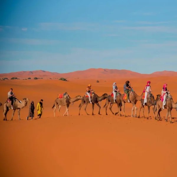 Camel trekking during a desert tour from Agadir to Merzouga Sahara