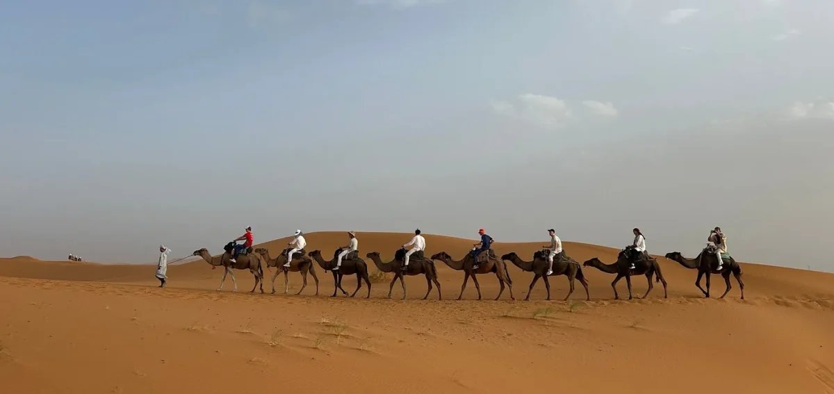 Sunset camel trek in Erg Chebbi during the Ouarzazate to Fes desert tour