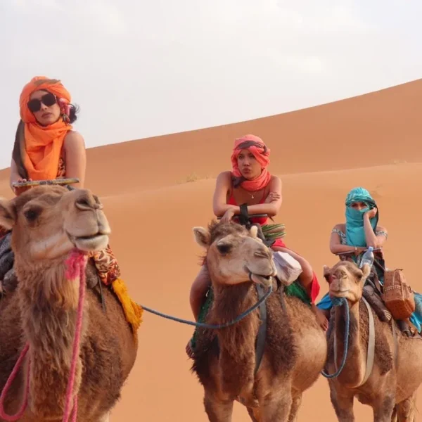 Camel trekking on a private desert tour from Errachidia to Merzouga
