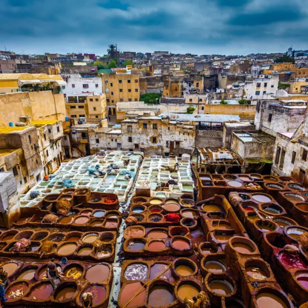 Traditional leather tanning vats surrounded by buildings in the Fes medina
